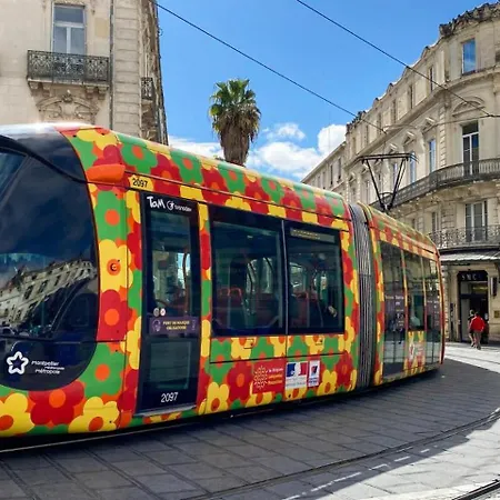Apartment Douillet Et Coquet Climatise - Parking Prive Gratuit - Centre Montpellier