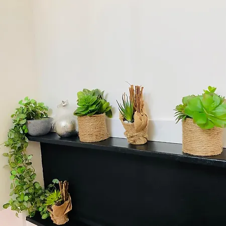 Apartment Douillet Et Coquet Climatise - Parking Prive Sur Reservation - Centre *