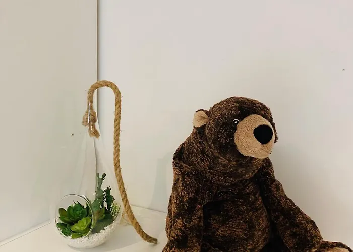 Appartement Douillet Et Coquet Climatisé - Parking Privé Sur Réservation - Centre Montpellier