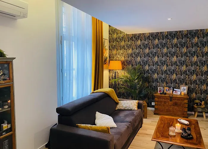 Appartement Douillet Et Coquet Climatisé - Parking Privé Sur Réservation - Centre