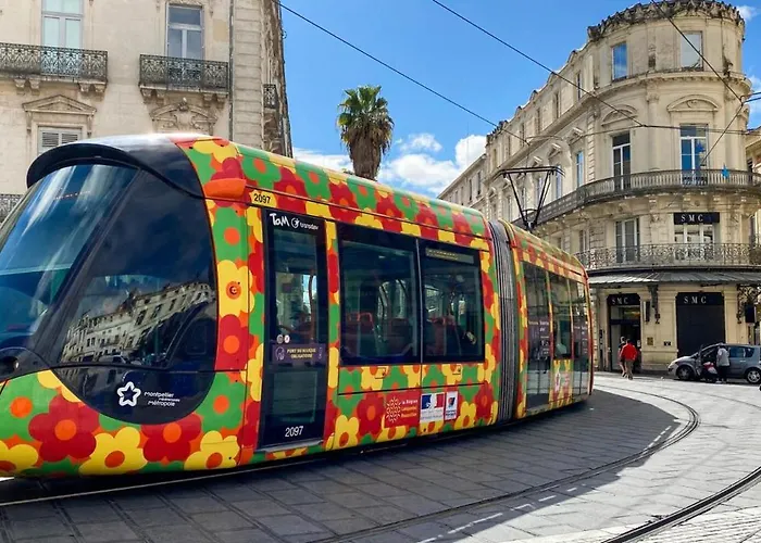 Appartement Douillet Et Coquet Climatisé - Parking Privé Sur Réservation - Centre Montpellier